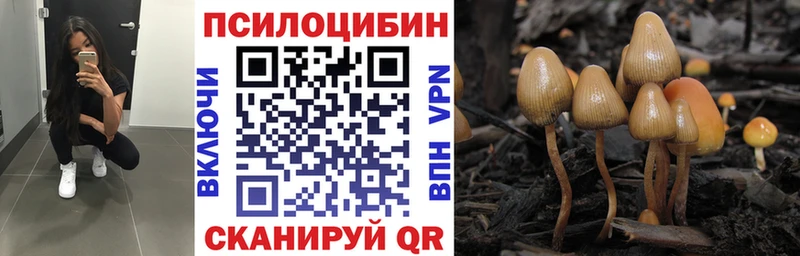 Купить Куртамыш Галлюциногенные грибы мицелий
